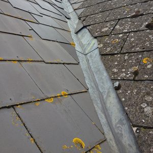 Roof moss removal contractors Weymouth